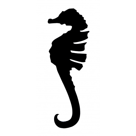 gsb17-22100_seahorse_1551306445